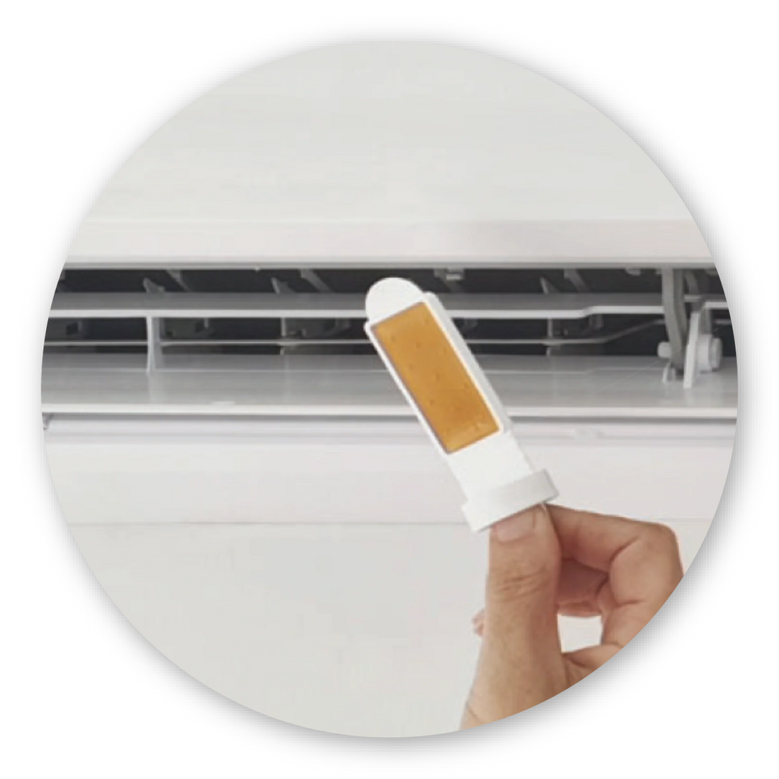 Air Quality Test - Mold!