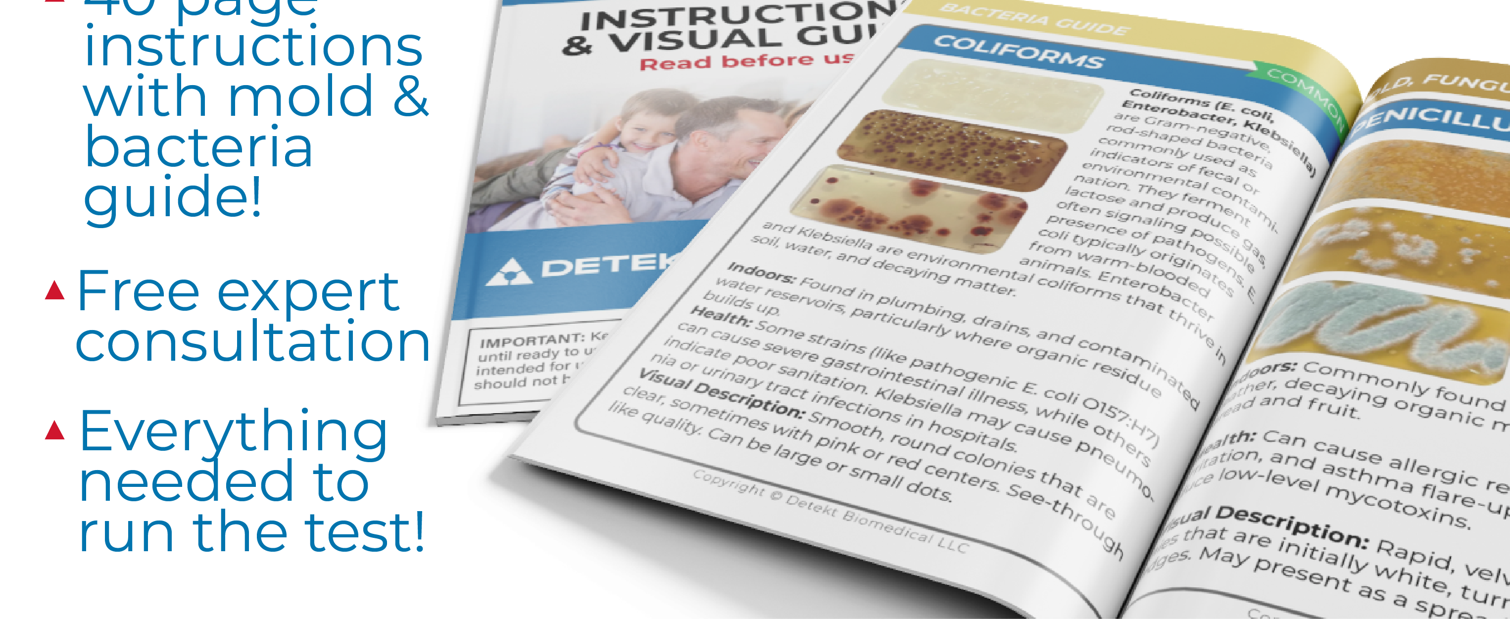 Detekt Rapid Tests