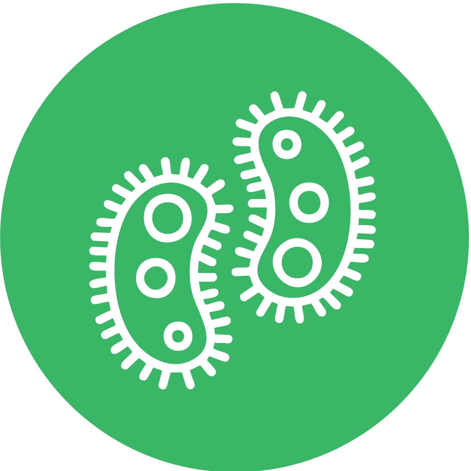 Home bacteria test kit for water & surfaces - Detekt Rapid Tests