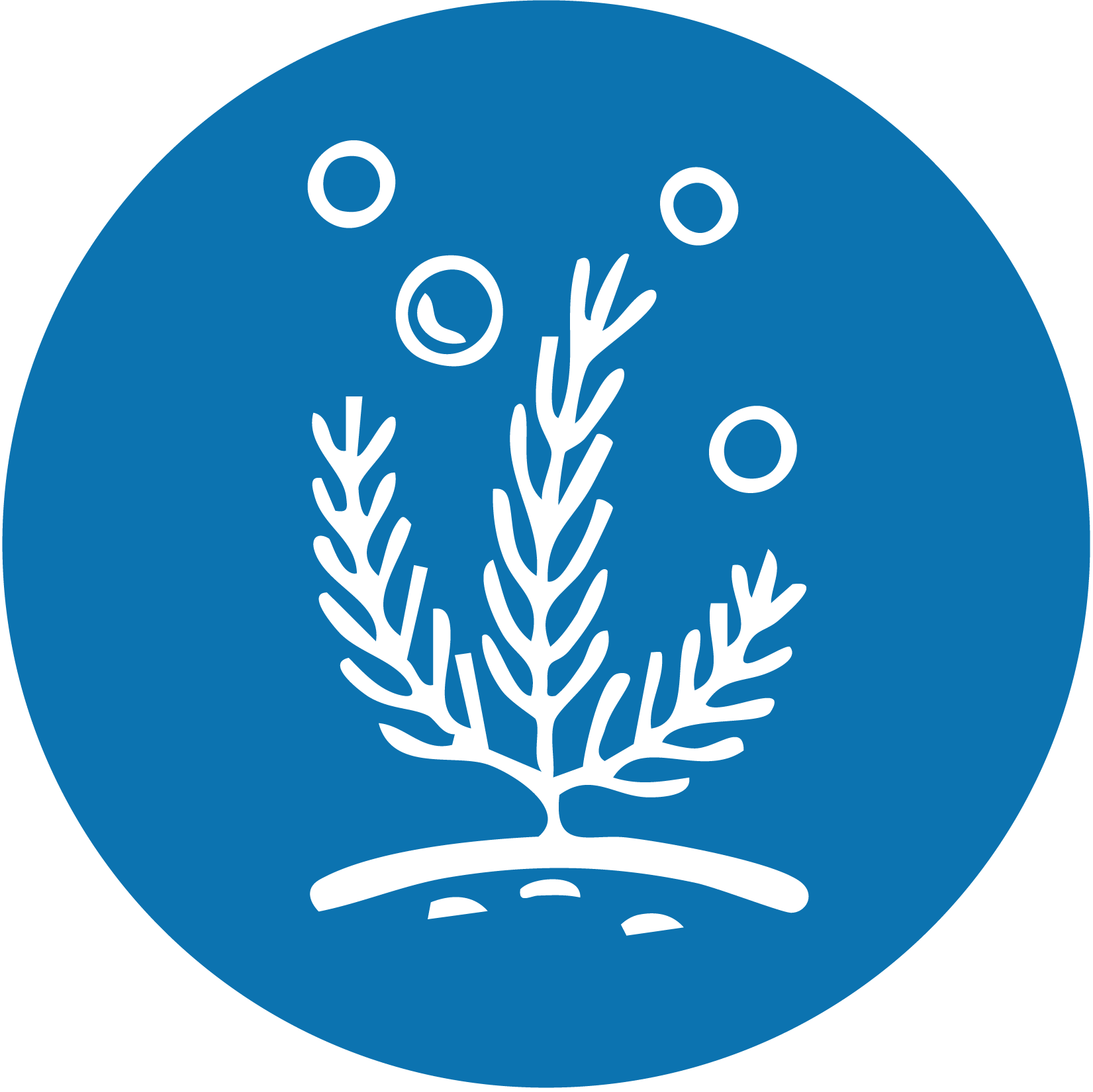 Blue green algae test kit for ponds & lakes - Detekt Rapid Tests