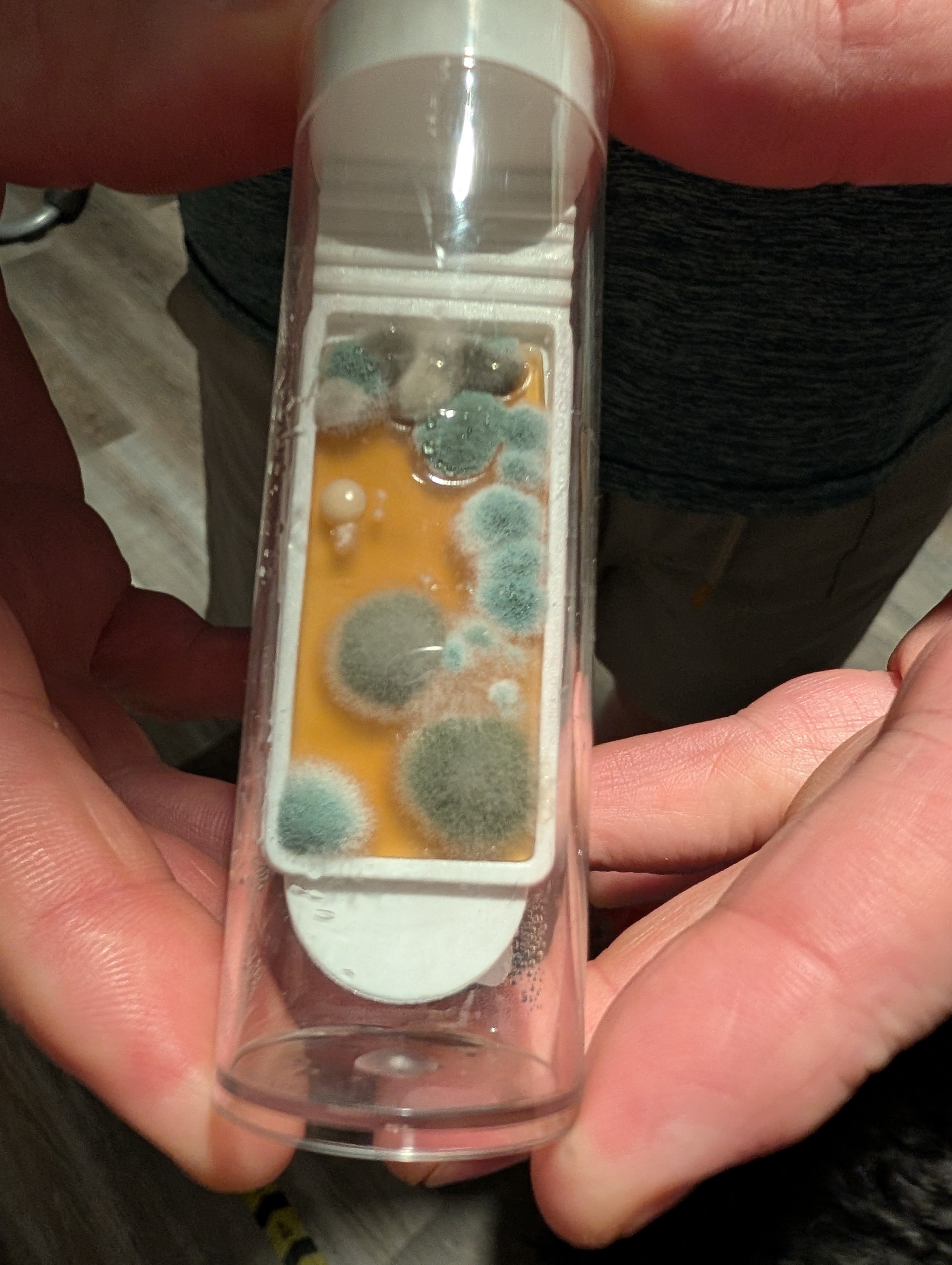 Detekt Rapid Tests