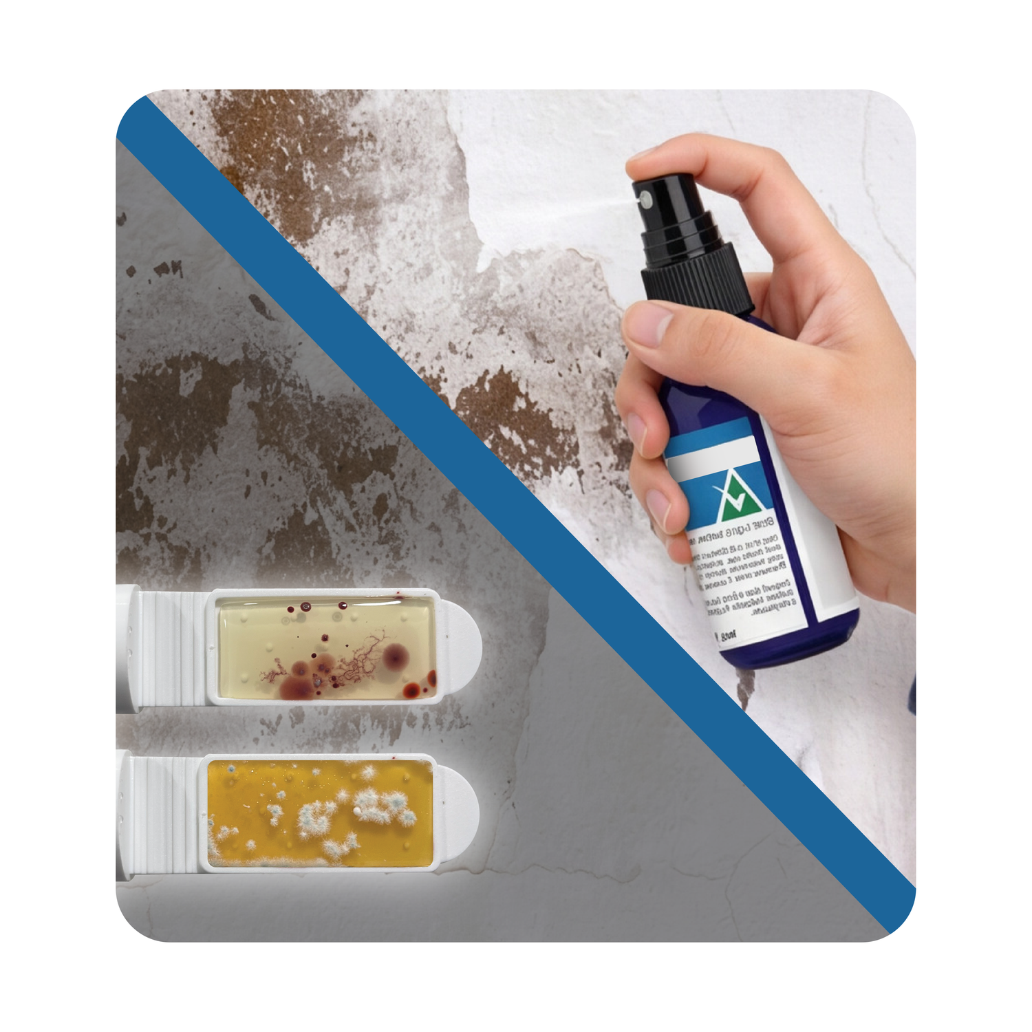 Detekt Rapid Tests