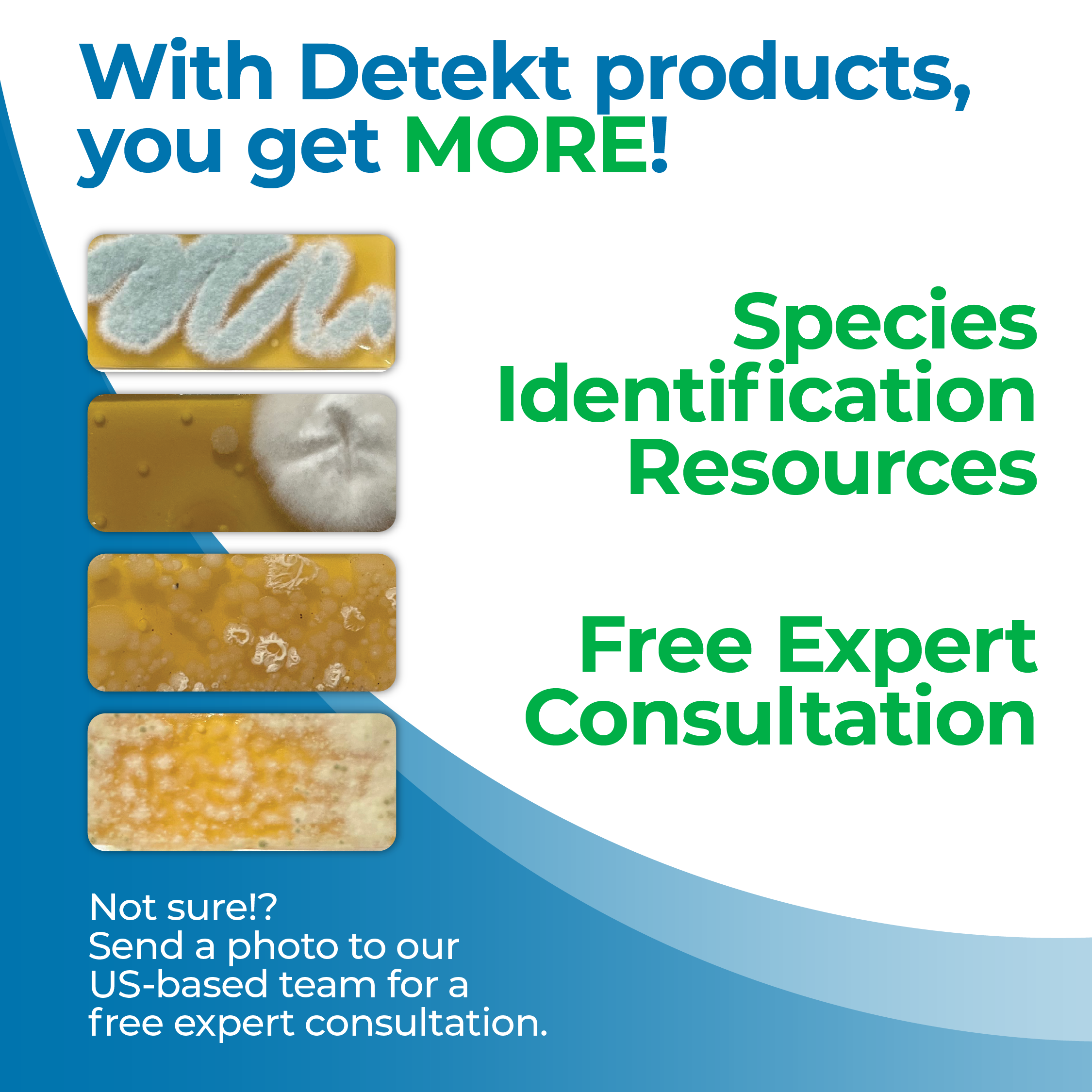 Pool & Hot Tub Water Test Kit