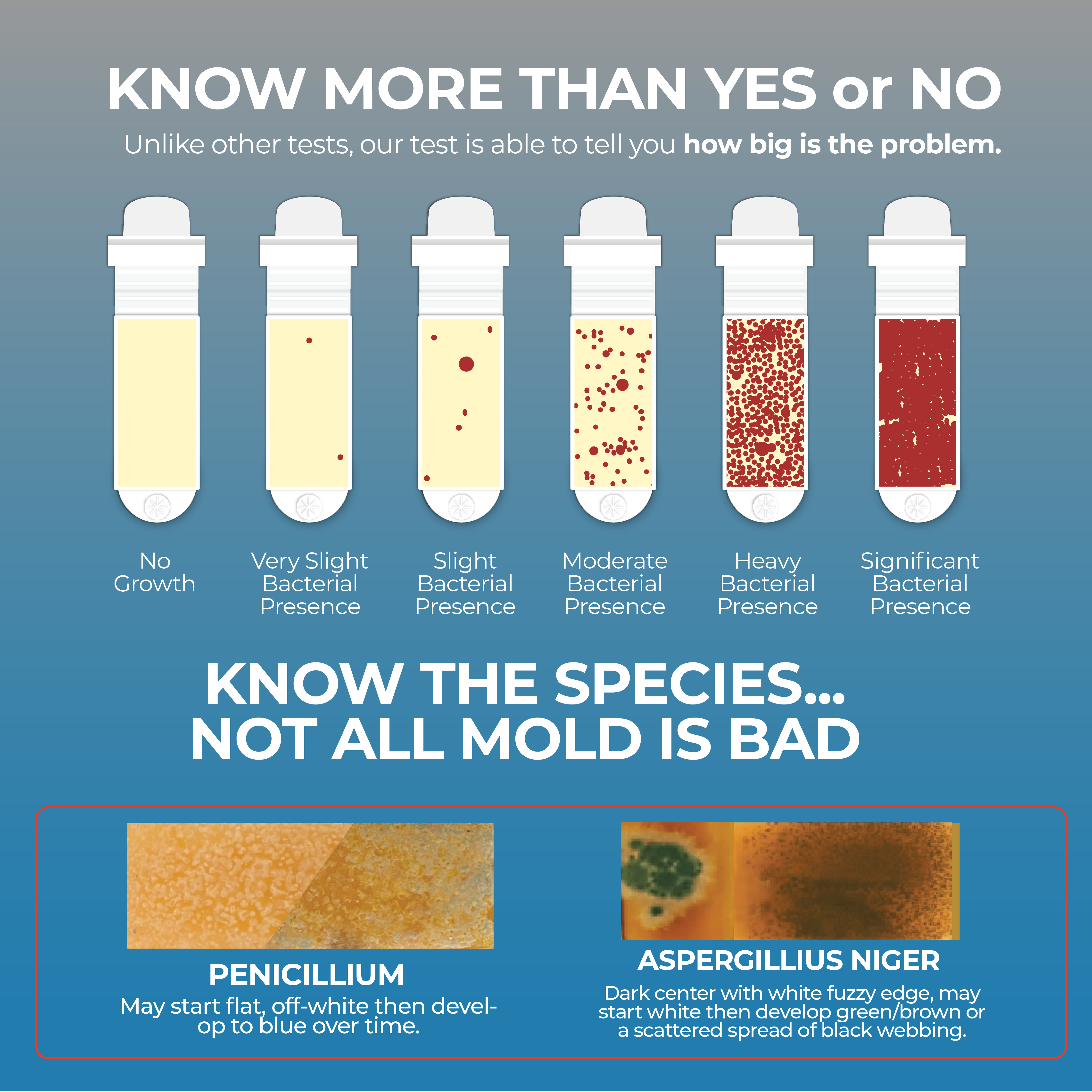 Pool, Spa, & Hot Tub Water Bacteria Test Kit