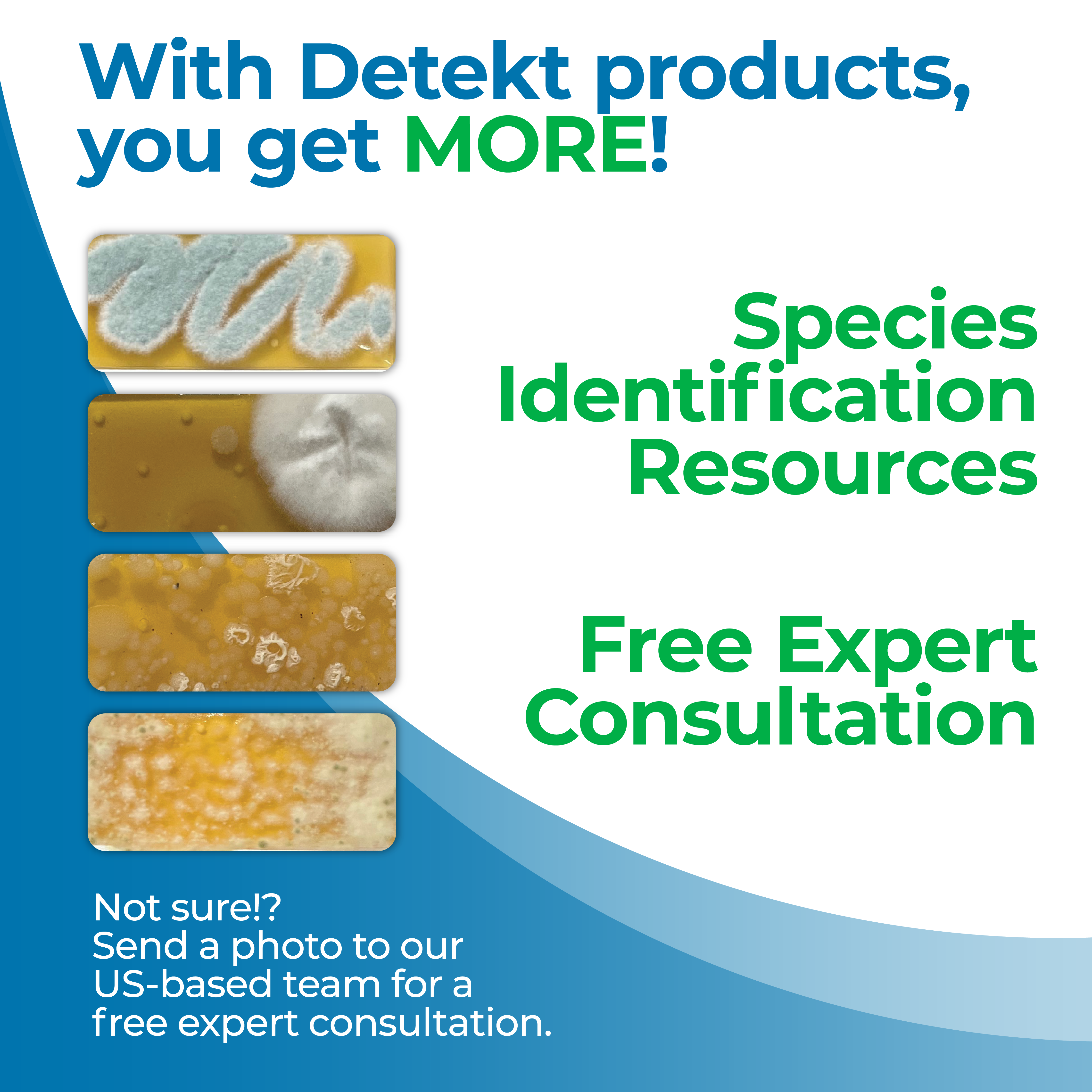 Pool, Spa, & Hot Tub Water Bacteria Test Kit