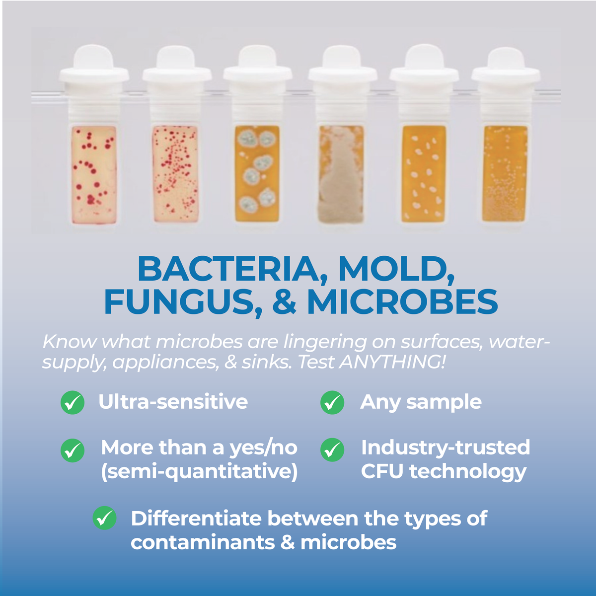 Surface Bacteria Test Kit Home Use | Detekt Home – Detekt Rapid Tests
