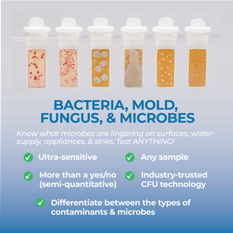 Surface Bacteria Test Kit Home Use | Detekt Home – Detekt Rapid Tests