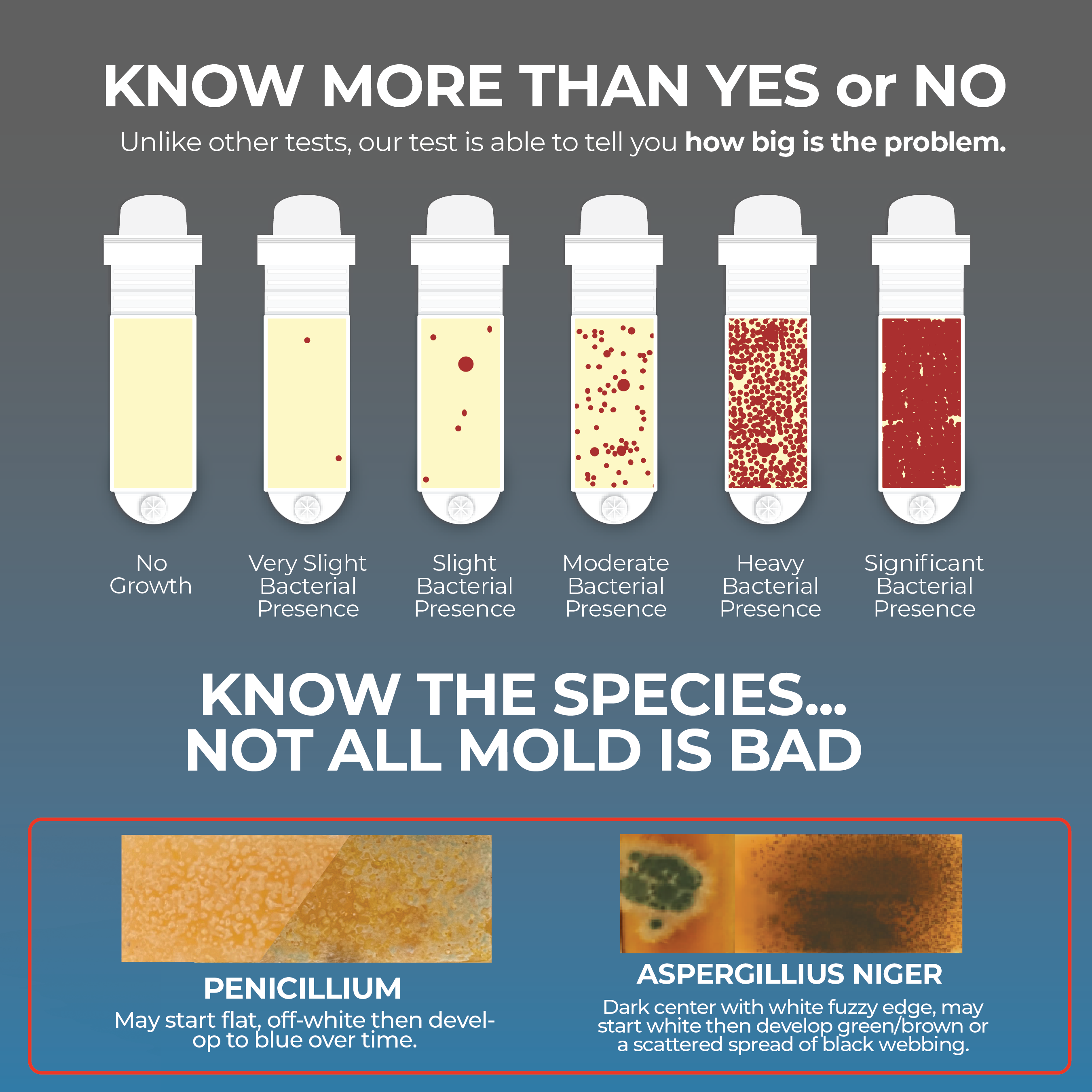 Home Sanitation Test Kit