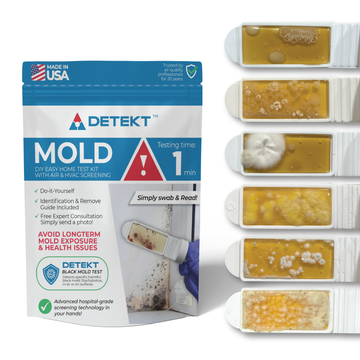 Detekt Home Mold Test Kit 6pc with lab-grade DIY home testing components for mold, bacteria, and fungus detection