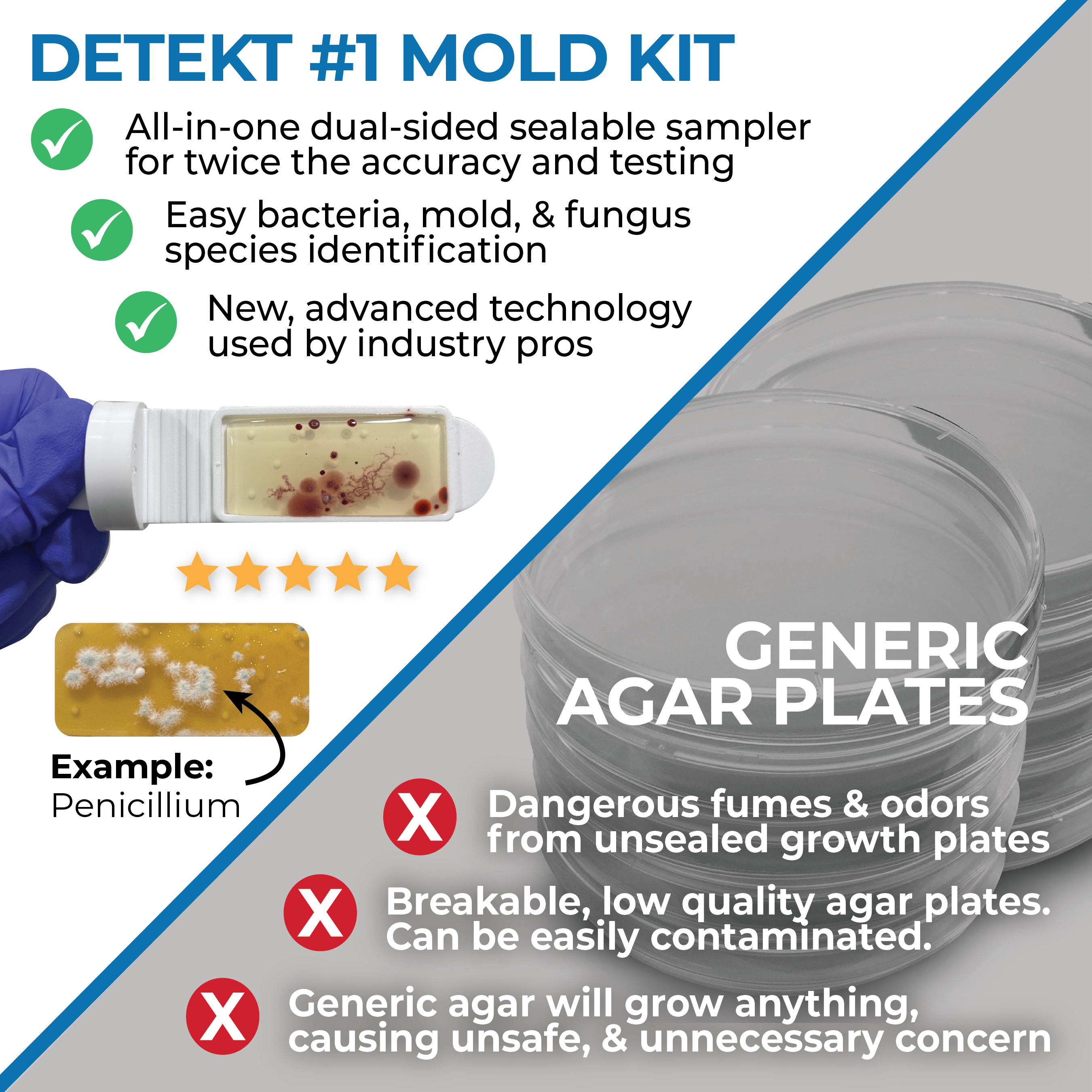 Mold Test Kit