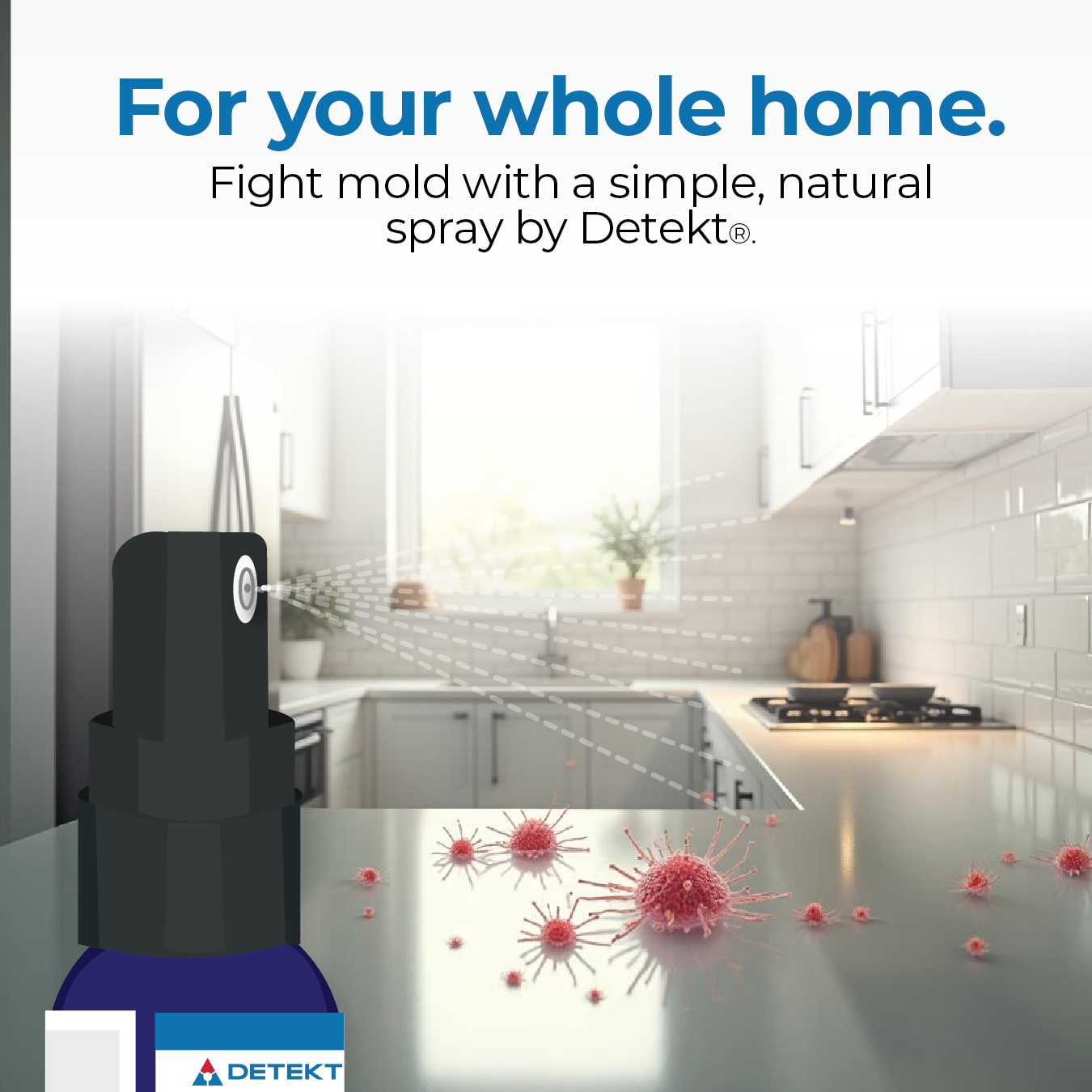 Mold Eliminating Spot Spray