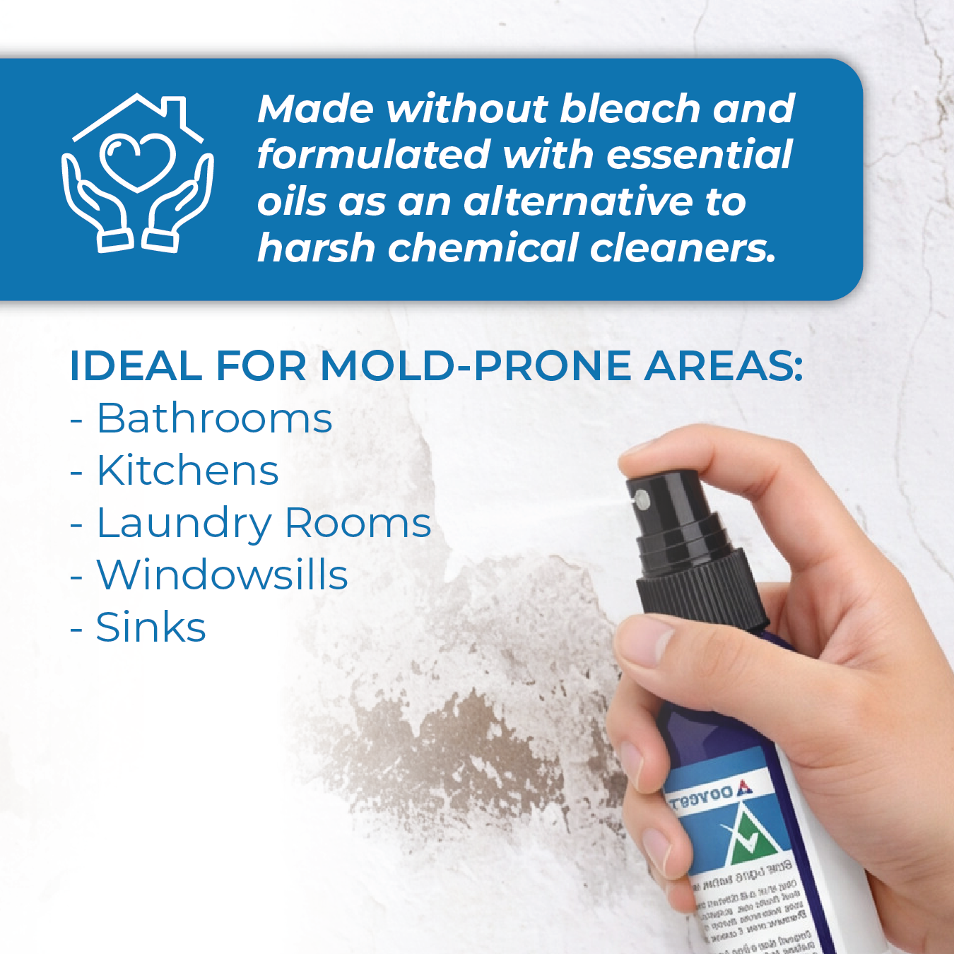 Mold Eliminating Spot Spray