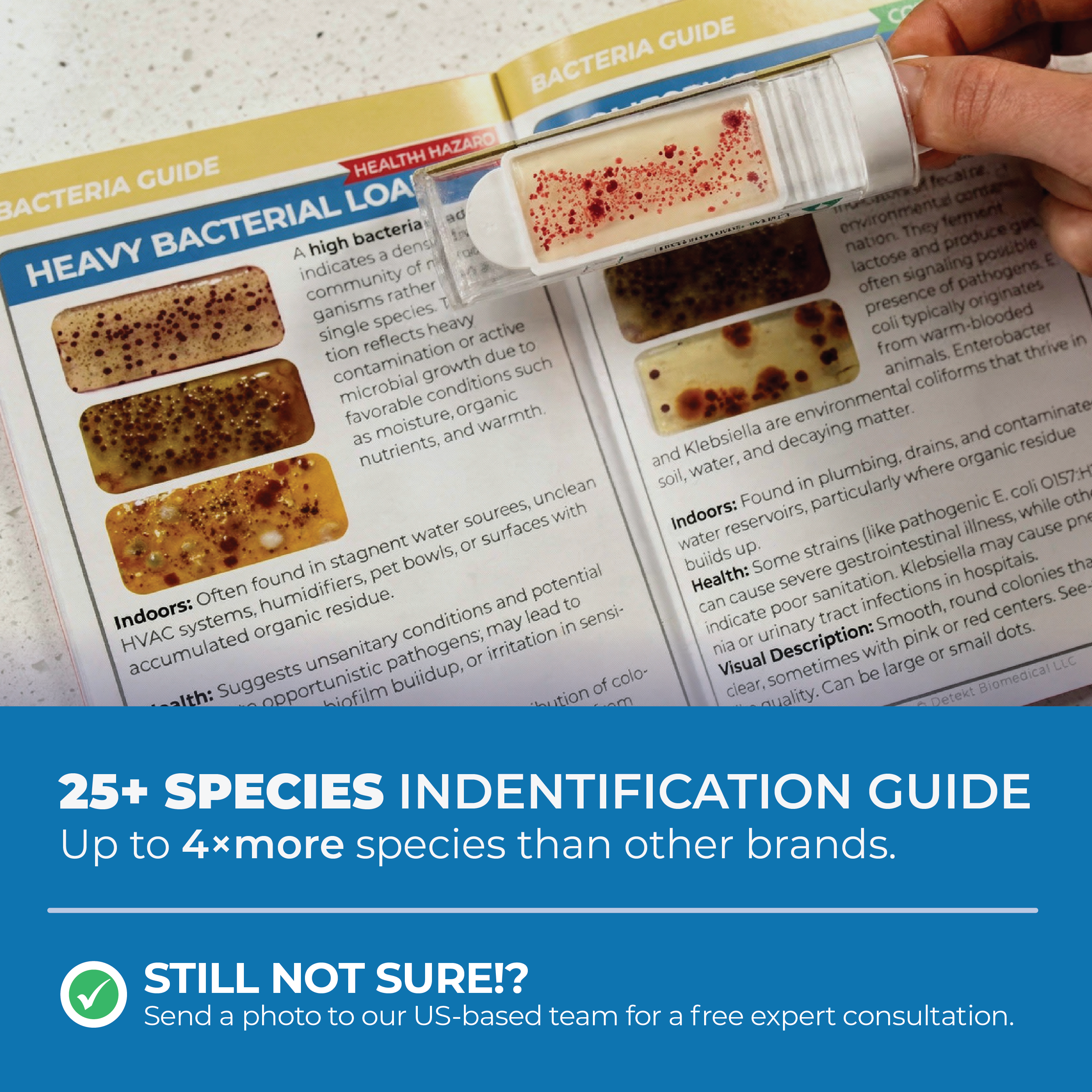 Mold & Indoor Air Quality Test Kit 6 Locations