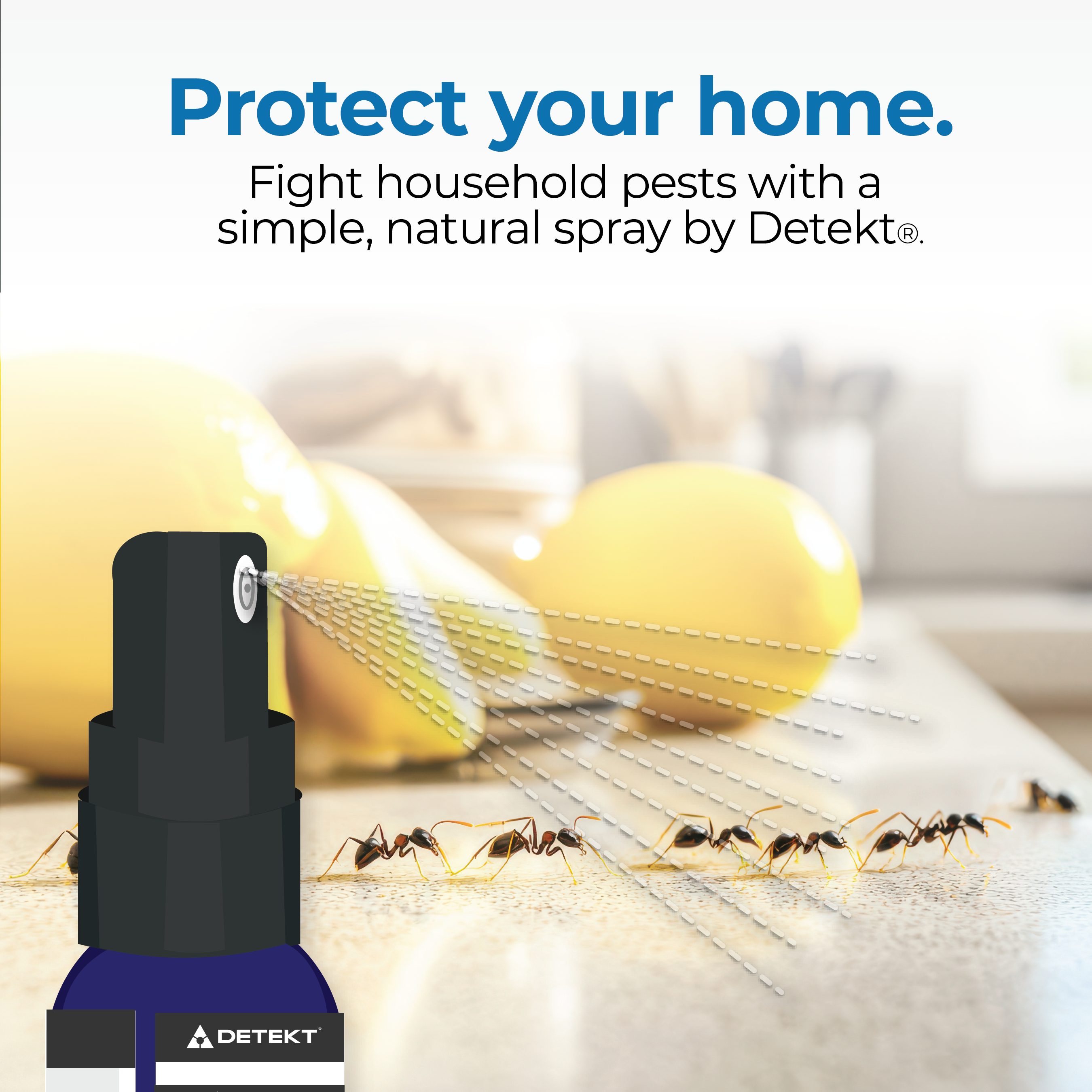 Pest Repellent Spray