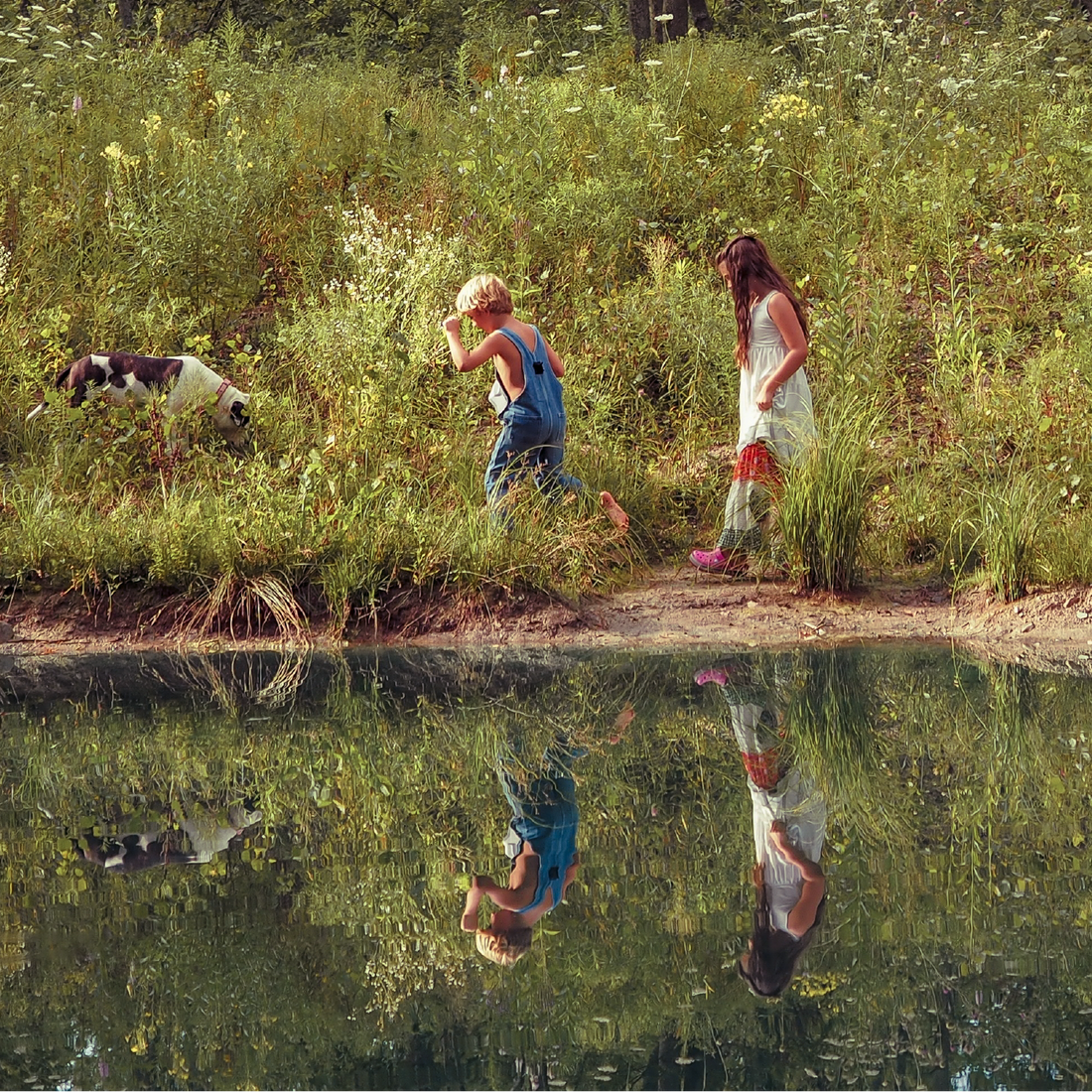 <a href="/pages/category-algae" target="_blank" title="Category: Blue-Green Algae & Recreational Water Safety">Blue-Green Algae & Water Safety</a>