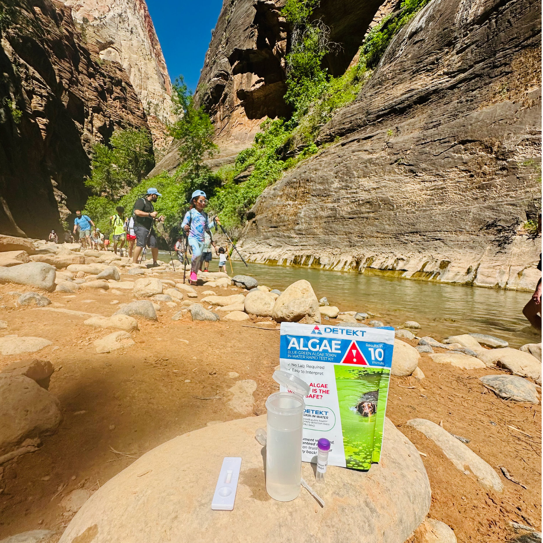 Detekt Rapid Tests