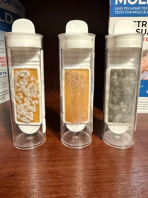 Detekt Rapid Tests